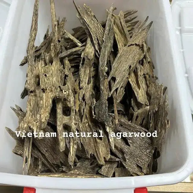 Premium Ant Oud – Wild Vietnam&nbsp; Agarwood Oud | High Resin Block